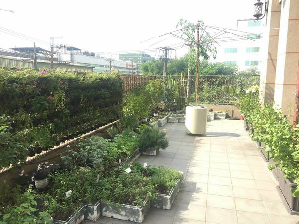 BISTRO181 法式烘焙坊：桃園龜山Bistro181 法式烘焙坊-主打健康天然麵包，採用自種植物 ，現正推出派對餐盒 ，還有法國麵包裹烤雞超吸睛!!聖誕節不用再東奔西跑