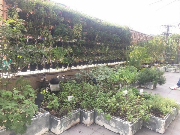 BISTRO181 法式烘焙坊：桃園龜山Bistro181 法式烘焙坊-主打健康天然麵包，採用自種植物 ，現正推出派對餐盒 ，還有法國麵包裹烤雞超吸睛!!聖誕節不用再東奔西跑