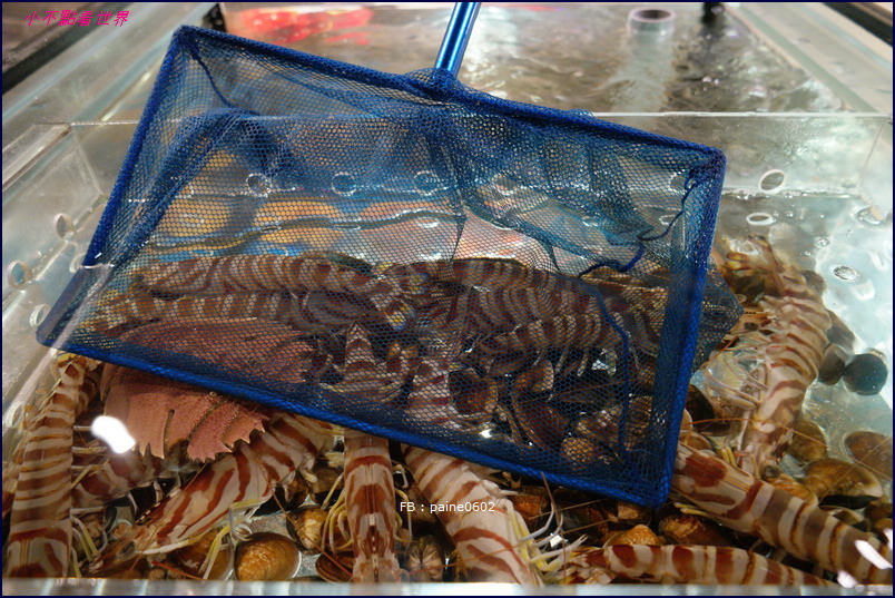 台北 鮨一的鍋 海鮮火鍋