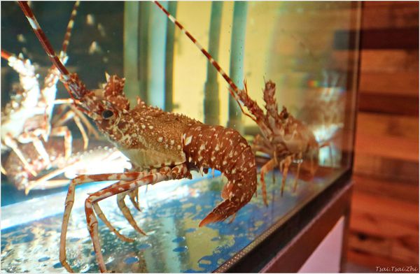 IMG_6041.JPG IMG_6041.JPG