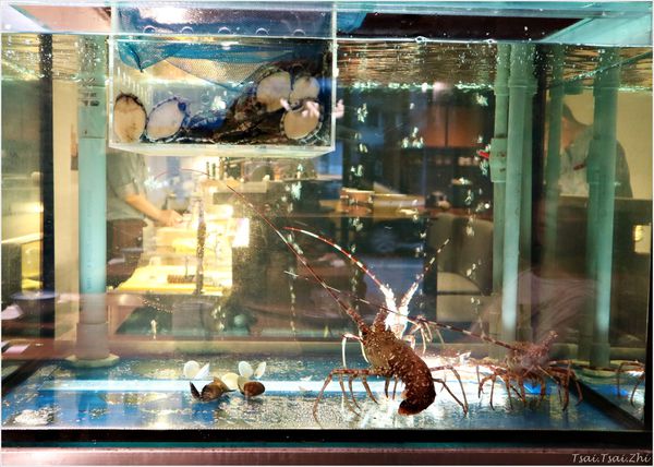 IMG_6038.JPG IMG_6038.JPG