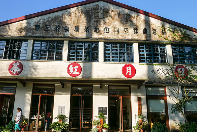 南投日月老茶廠-1130042