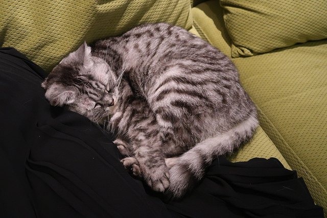 20171110203924_IMG_0347