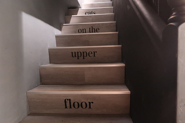 20171110204029_IMG_0349