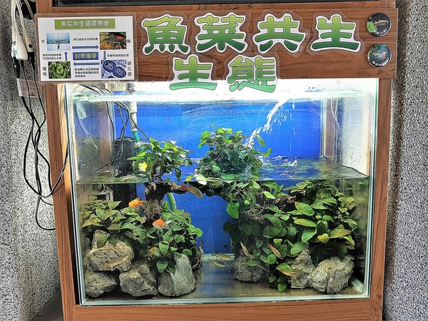 東海國小:【台中市景點】東海國小~可愛動物藝術裝置