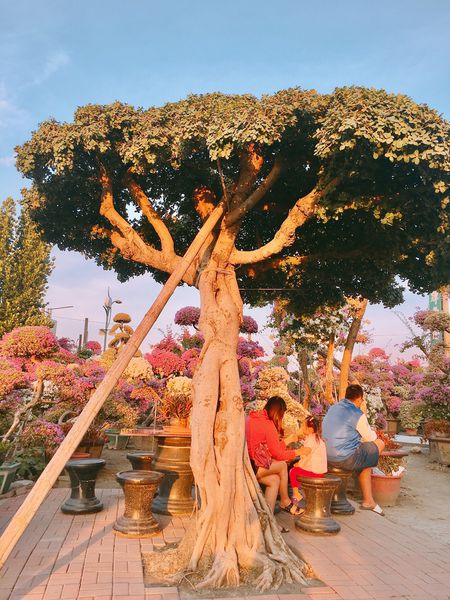 IMG_7608.JPG IMG_7608.JPG