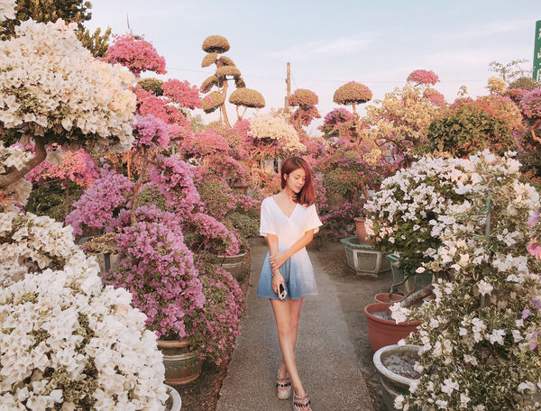 IMG_7884.JPG IMG_7884.JPG