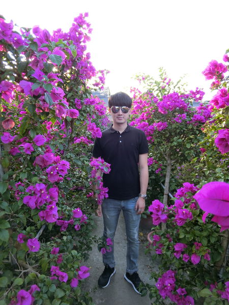 CIMG3474.JPG CIMG3474.JPG