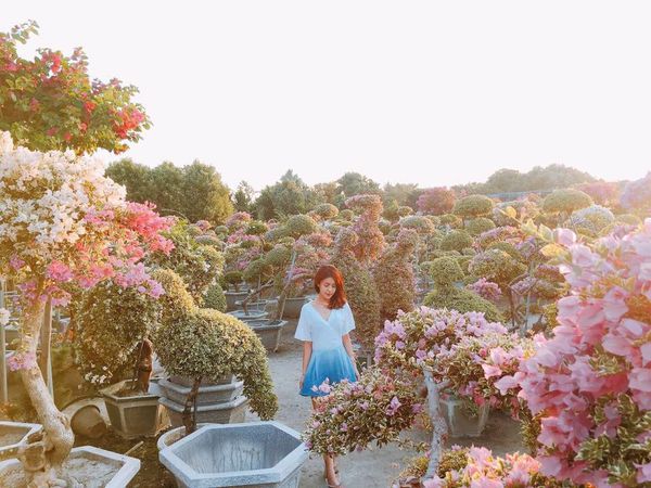 IMG_7873.JPG IMG_7873.JPG