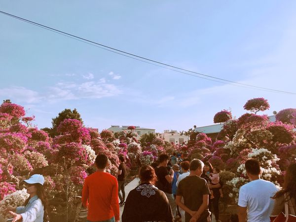 IMG_7590.JPG IMG_7590.JPG