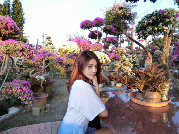 IMG_7851.JPG IMG_7851.JPG