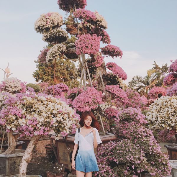 IMG_7882.JPG IMG_7882.JPG