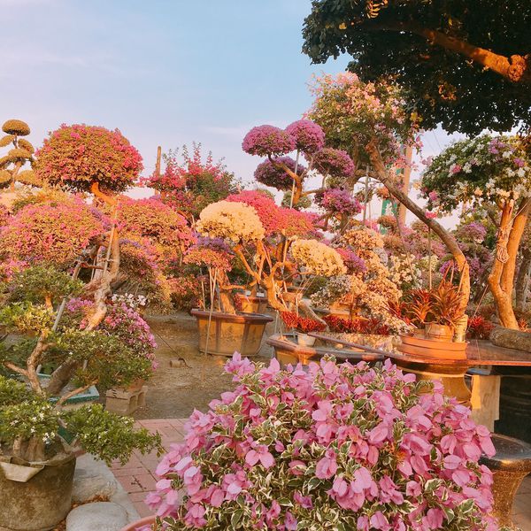 IMG_7610.JPG IMG_7610.JPG