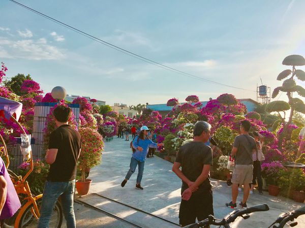 IMG_7589.JPG IMG_7589.JPG