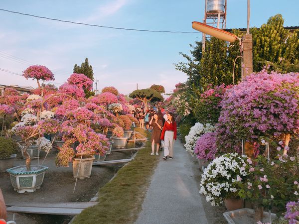 IMG_7821.JPG IMG_7821.JPG