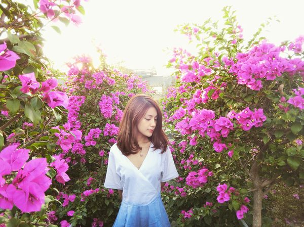 IMG_7890.JPG IMG_7890.JPG