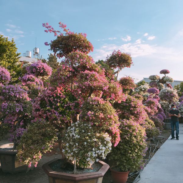 IMG_7814.JPG IMG_7814.JPG