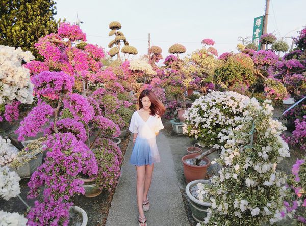 IMG_7887.JPG IMG_7887.JPG