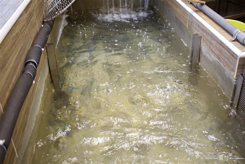 乾爹專業泰國蝦料理