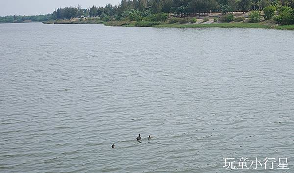 口湖遊客中心24.JPG 口湖遊客中心24.JPG