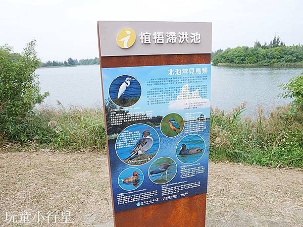 口湖遊客中心22.JPG 口湖遊客中心22.JPG