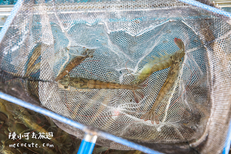 @陳小可的吃喝玩樂