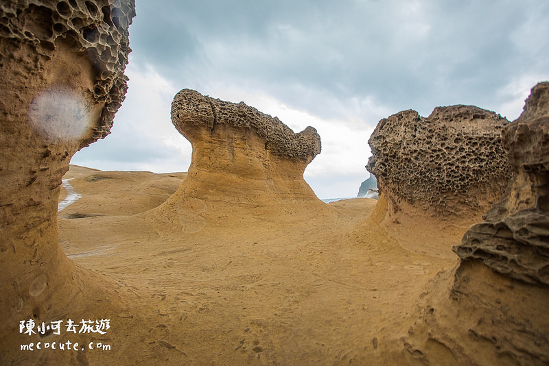 @陳小可的吃喝玩樂