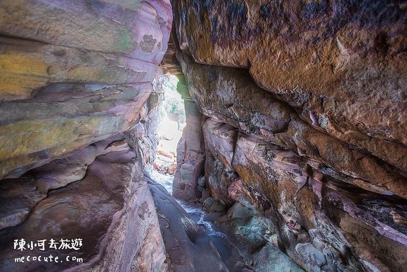 @陳小可的吃喝玩樂