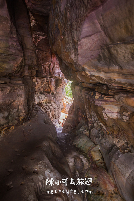 @陳小可的吃喝玩樂