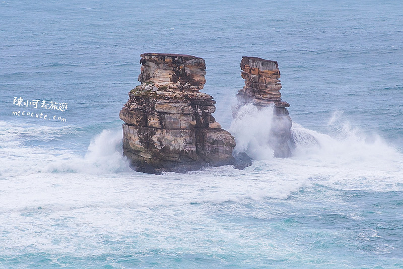 @陳小可的吃喝玩樂