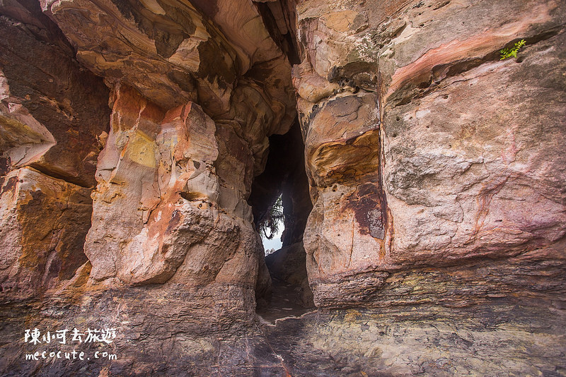 @陳小可的吃喝玩樂