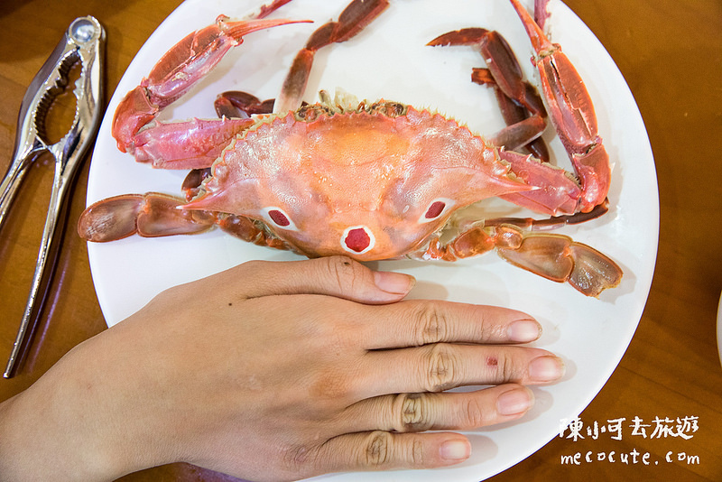 @陳小可的吃喝玩樂