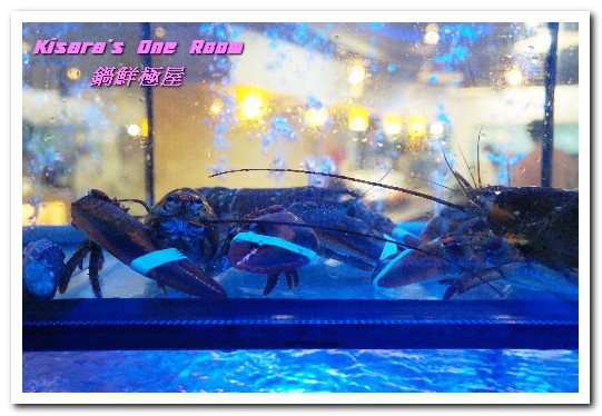 鍋鮮極屋:市民大道燒烤海鮮.最適作為逛街中繼站的現撈、現烤海産美食鍋物──鍋鮮極屋