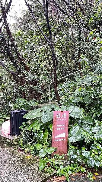 【住。金瓜石】大雨中的金瓜石來場與自己的緩慢對話–緩慢 金瓜