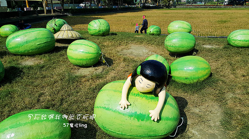 20171210_113116_副本0