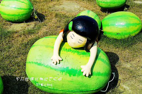 20171210_113116_副本