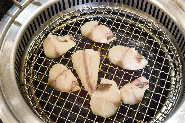 _DSC6146.JPG _DSC6146.JPG