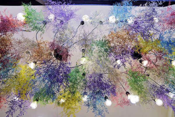 0_DSC5950.jpg 0_DSC5950.jpg