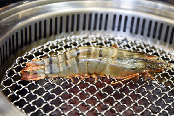 _DSC6131.JPG _DSC6131.JPG