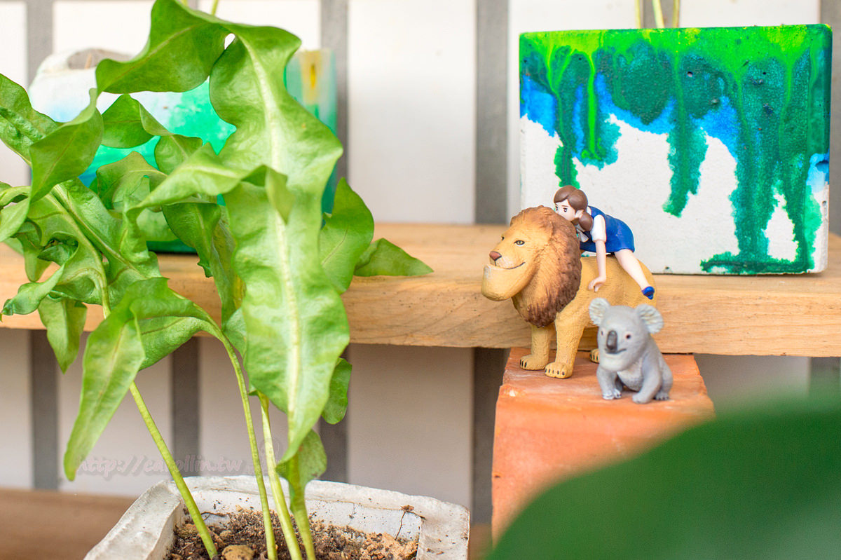 《Limit 手作糕點》假日限定的隱藏版甜點店 - 卡琳。摸魚兒趣