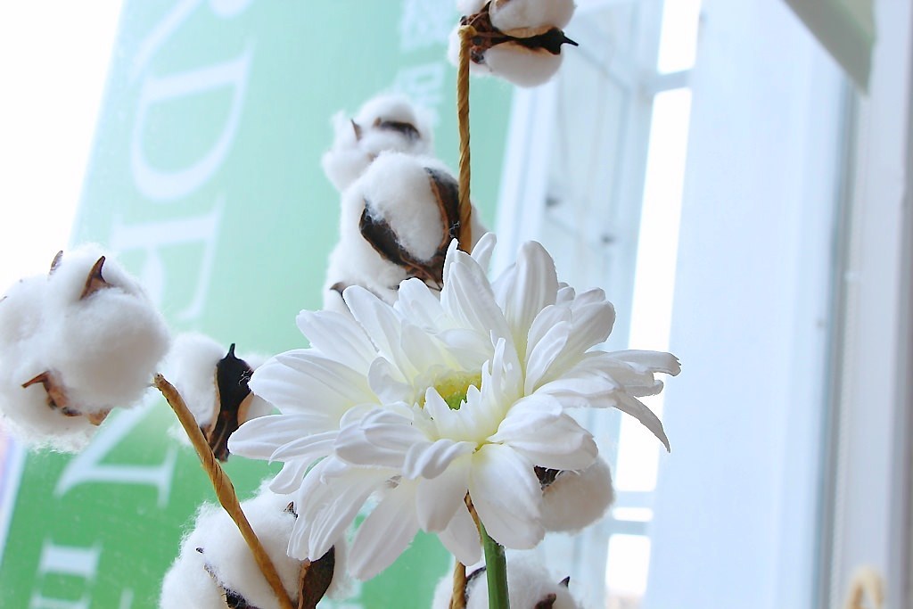 台中蔬食餐廳，寶草好時光! - 微笑Joe幸運