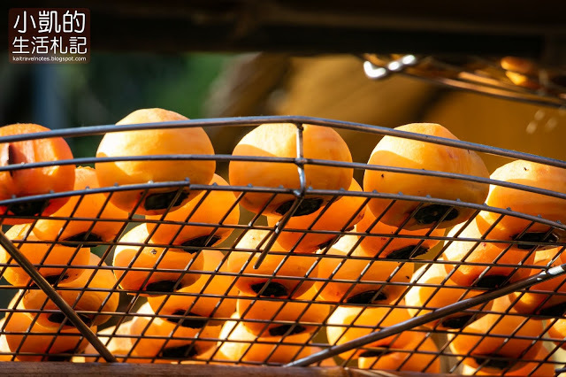 『新竹新埔』| 新埔柿餅 | 味衛佳柿餅觀光農場 | 北埔老街 | 內灣老街 | 新竹一日遊 | 小凱Vlog