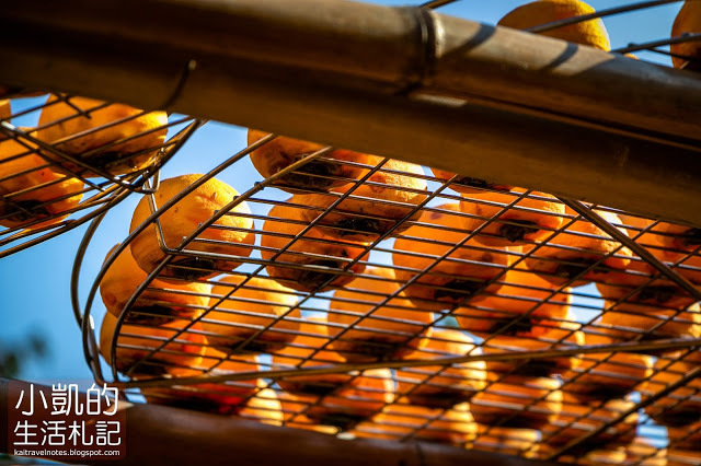 『新竹新埔』| 新埔柿餅 | 味衛佳柿餅觀光農場 | 北埔老街 | 內灣老街 | 新竹一日遊 | 小凱Vlog