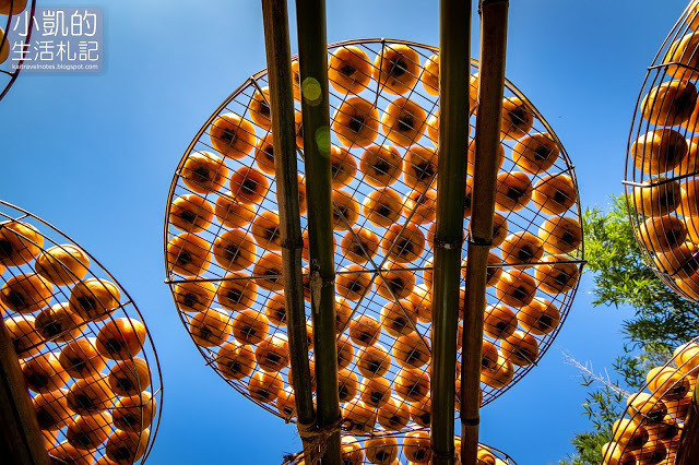 『新竹新埔』| 新埔柿餅 | 味衛佳柿餅觀光農場 | 北埔老街 | 內灣老街 | 新竹一日遊 | 小凱Vlog