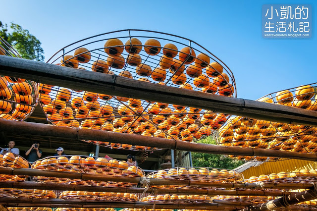 『新竹新埔』| 新埔柿餅 | 味衛佳柿餅觀光農場 | 北埔老街 | 內灣老街 | 新竹一日遊 | 小凱Vlog