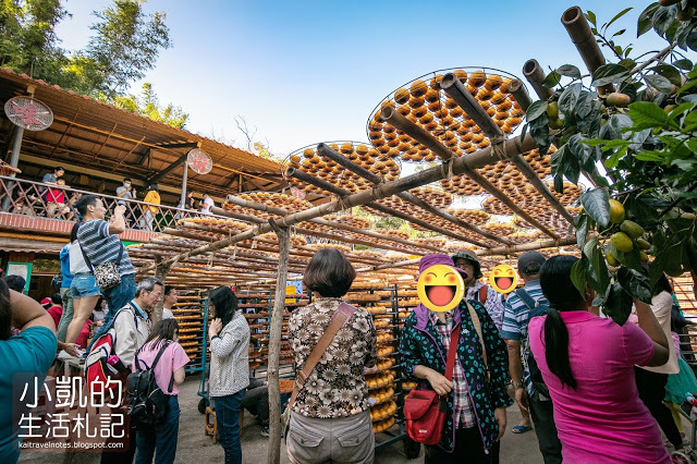 『新竹新埔』| 新埔柿餅 | 味衛佳柿餅觀光農場 | 北埔老街 | 內灣老街 | 新竹一日遊 | 小凱Vlog