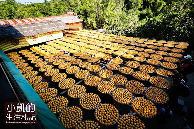 『新竹新埔』| 新埔柿餅 | 味衛佳柿餅觀光農場 | 北埔老街 | 內灣老街 | 新竹一日遊 | 小凱Vlog