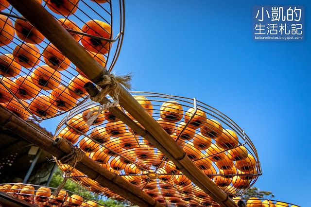 『新竹新埔』| 新埔柿餅 | 味衛佳柿餅觀光農場 | 北埔老街 | 內灣老街 | 新竹一日遊 | 小凱Vlog