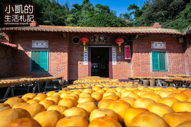 『新竹新埔』| 新埔柿餅 | 味衛佳柿餅觀光農場 | 北埔老街 | 內灣老街 | 新竹一日遊 | 小凱Vlog