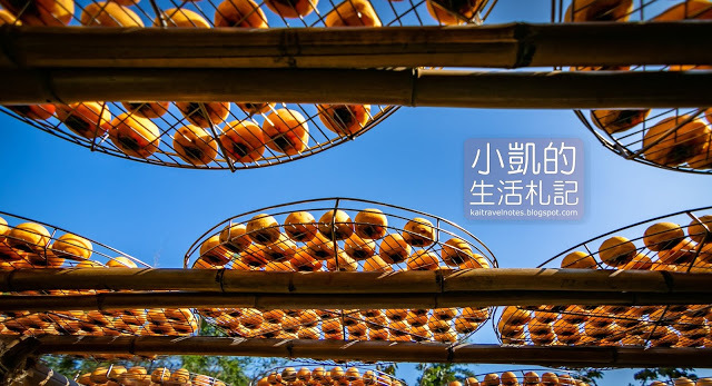 『新竹新埔』| 新埔柿餅 | 味衛佳柿餅觀光農場 | 北埔老街 | 內灣老街 | 新竹一日遊 | 小凱Vlog